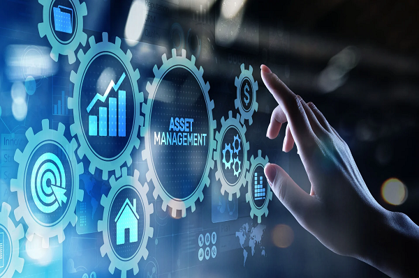 Best Practices for Asset Management Software